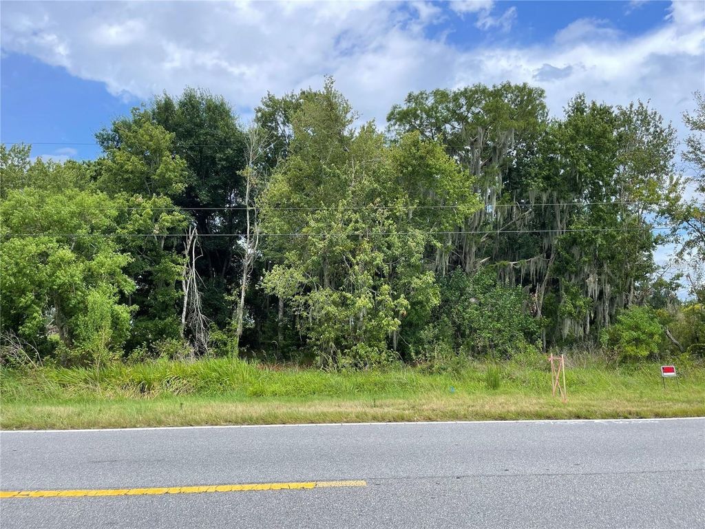 E LAKE SHORE BOULEVARD, Kissimmee, FL 34744