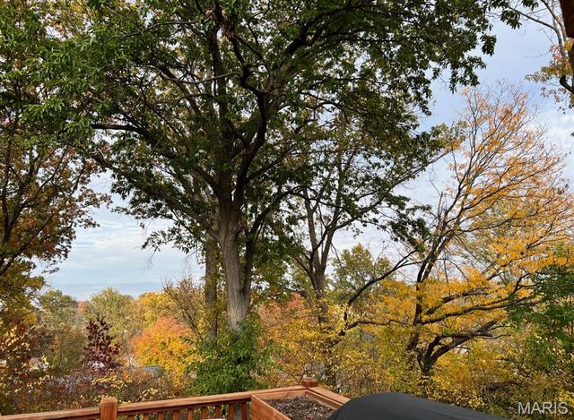 1430 Silverleaf Lane, St Louis, MO 63146