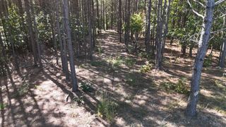 111 Hillbrook Dr, Hohenwald, TN 38462