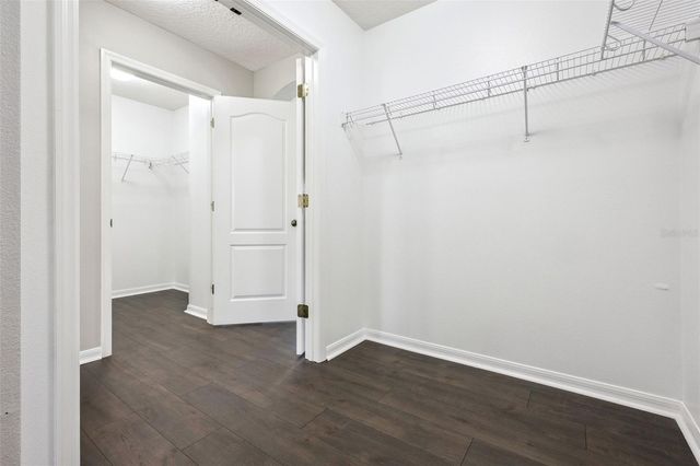 13156 MORO COURT, Winter Garden, FL 34787