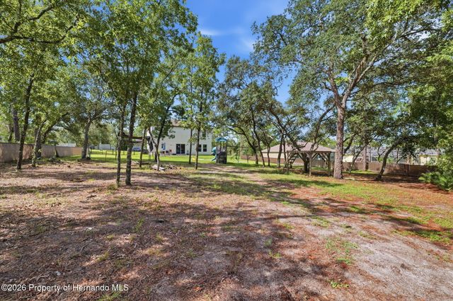 12145 Peregrine Falcon Avenue, Weeki Wachee, FL 34614