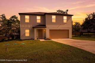 12145 Peregrine Falcon Avenue, Weeki Wachee, FL 34614