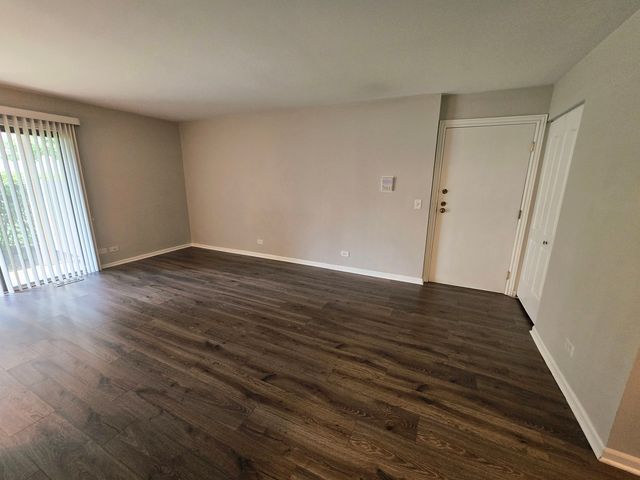 349 Newgate Court C1, Schaumburg, IL 60193