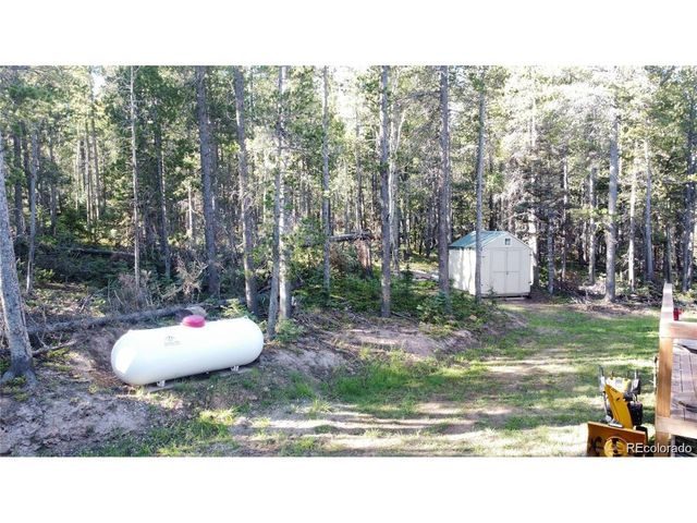 2450 Petito Dr, Fort Garland, CO 81133