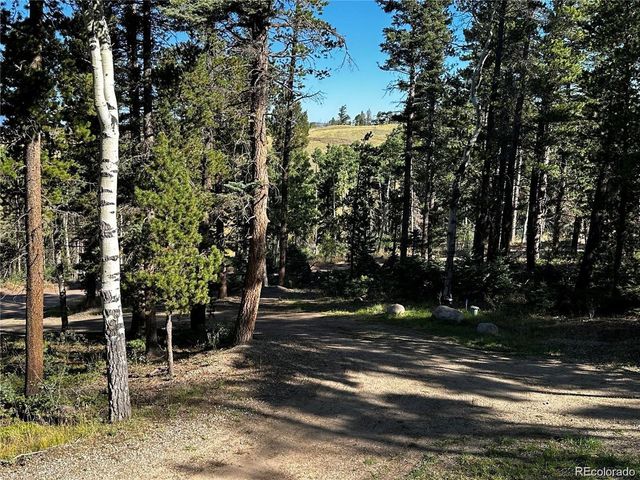 2450 Petito Dr, Fort Garland, CO 81133