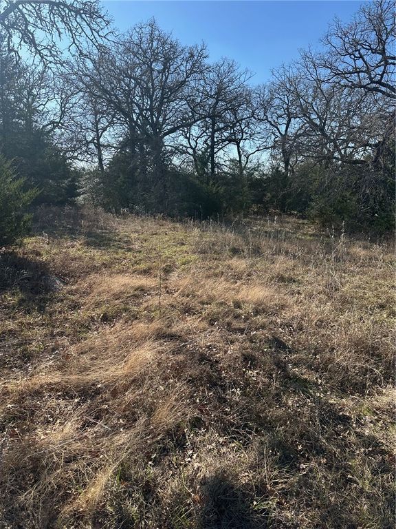 TBD Pauline Ln, Caldwell, TX 77836 — photo 2