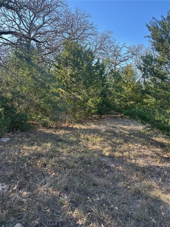 TBD Pauline Ln, Caldwell, TX 77836 — photo 3