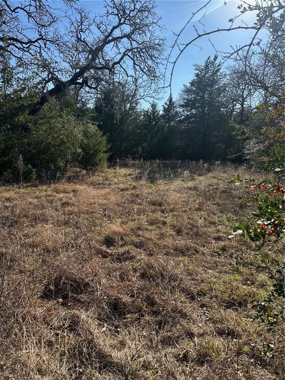TBD Pauline Ln, Caldwell, TX 77836 — photo 5