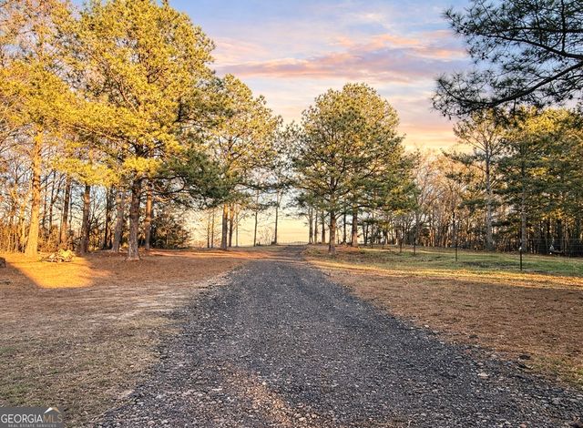 919 W Milner Road, Concord, GA 30206