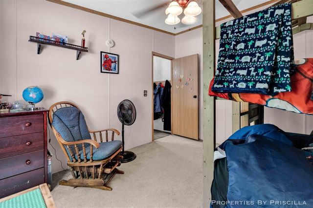 3766 Mary Avenue, Newaygo, MI 49337