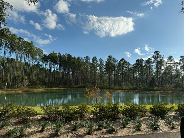 Lot 5 Reserve At Hammock Bay, Freeport, FL 32439