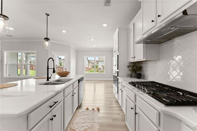 7125 Birch View Court, Flowery Branch, GA 30542