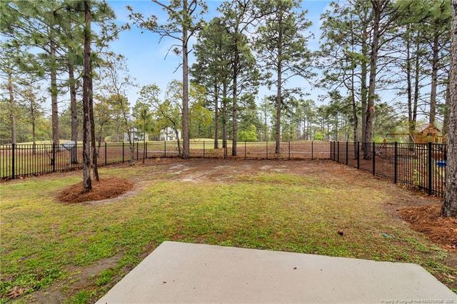 712 Bald Eagle Drive, Vass, NC 28394