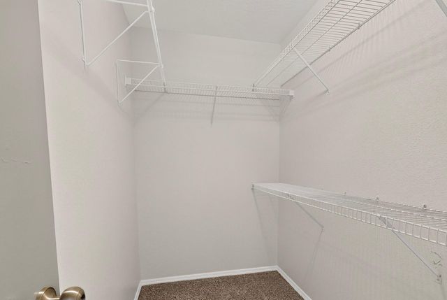 7719 Purple Fringe Road SW, Albuquerque, NM 87121