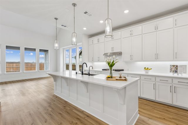 1729 Boxwood Row Drive, Aubrey, TX 76227