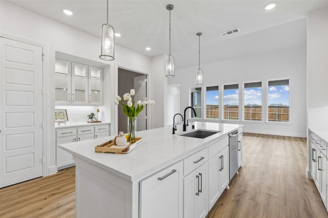 1729 Boxwood Row Drive, Aubrey, TX 76227