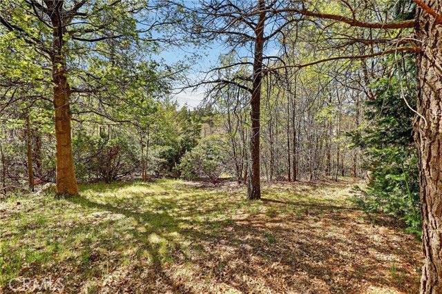 28125 Geneva Lane, Lake Arrowhead, CA 92352