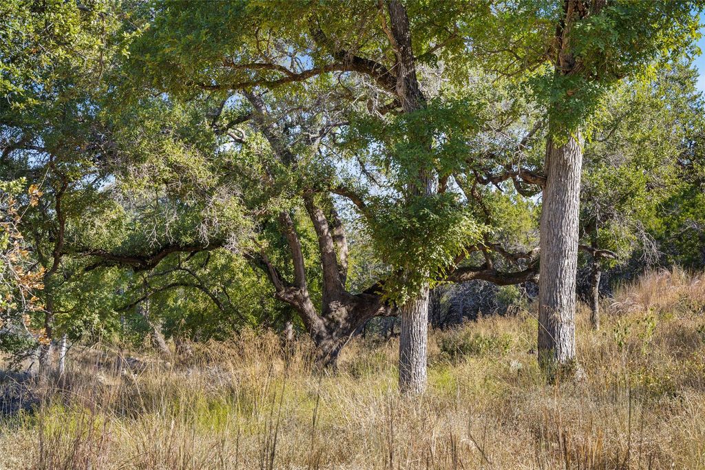 1301 RM 2147, Marble Falls, TX 78654