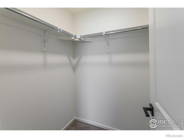 6126 Red Barn Road, Timnath, CO 80547