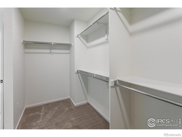 6126 Red Barn Road, Timnath, CO 80547