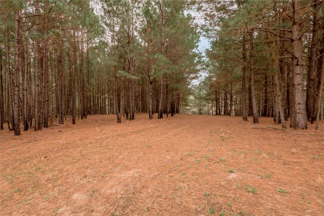 14254 Cr 2080, Crockett, TX 75835