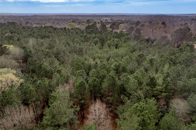 14254 Cr 2080, Crockett, TX 75835