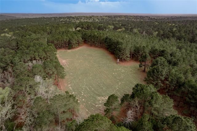 14254 Cr 2080, Crockett, TX 75835