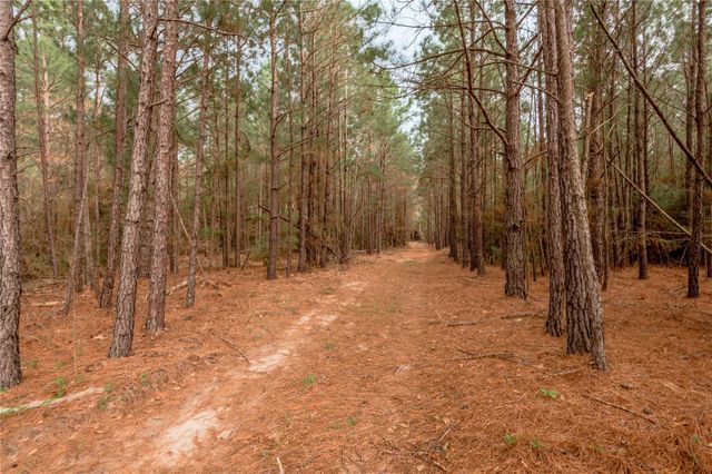 14254 Cr 2080, Crockett, TX 75835