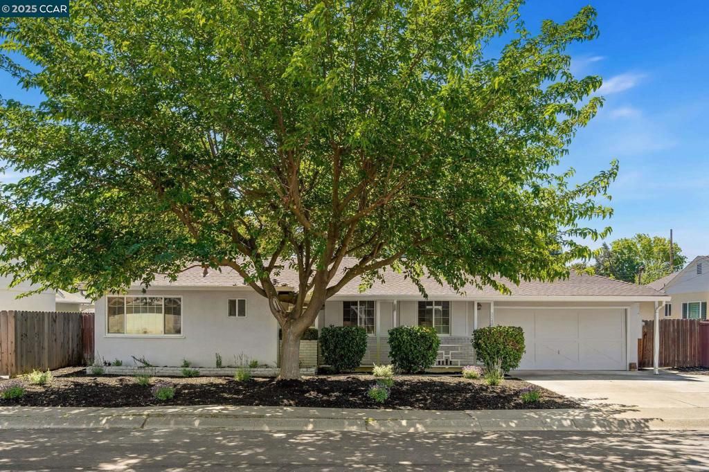 3248 Reva Dr, Concord, CA 94519