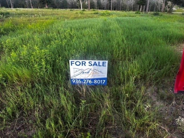 TBD Anna Grace Lot 35, Livingston, TX 77351