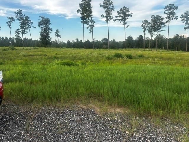 TBD Anna Grace Lot 35, Livingston, TX 77351
