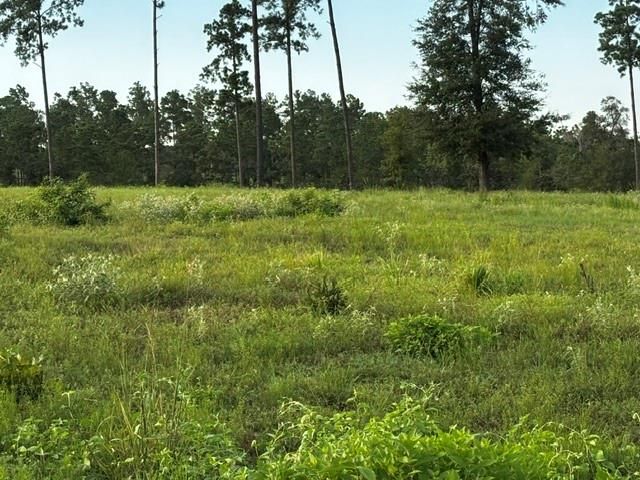 TBD Anna Grace Lot 35, Livingston, TX 77351
