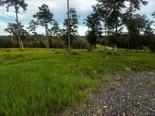TBD Anna Grace Lot 35, Livingston, TX 77351
