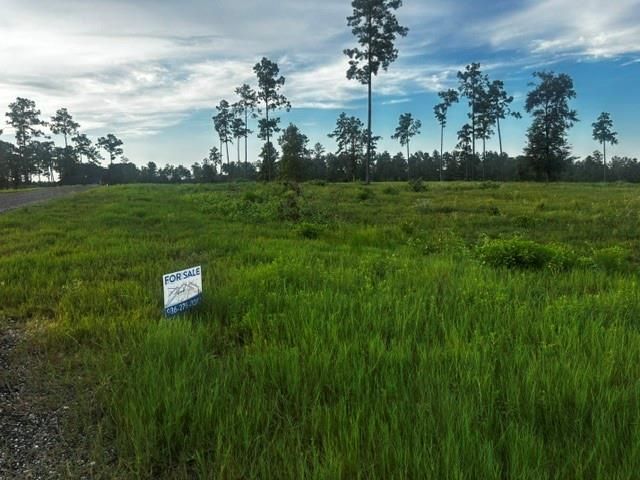 TBD Anna Grace Lot 35, Livingston, TX 77351