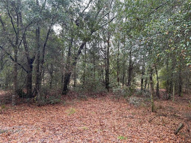 11550 SE 32ND PLACE, Morriston, FL 32668