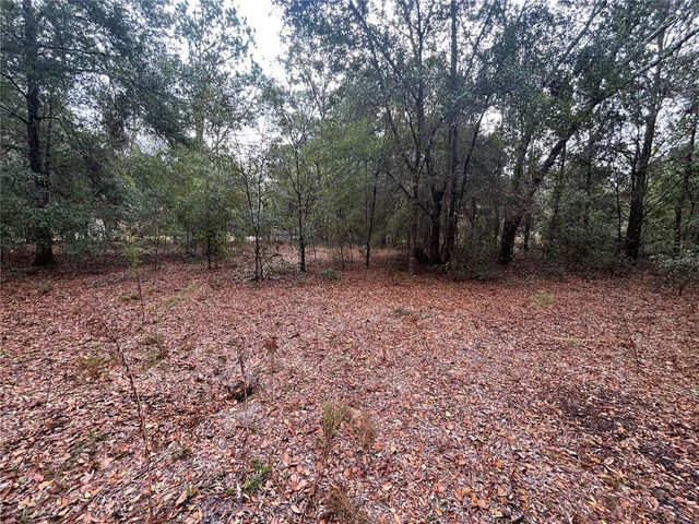 11550 SE 32ND PLACE, Morriston, FL 32668