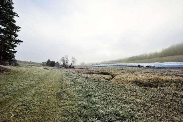 E5190 Sand Hill Road, Reedsburg, WI 53959