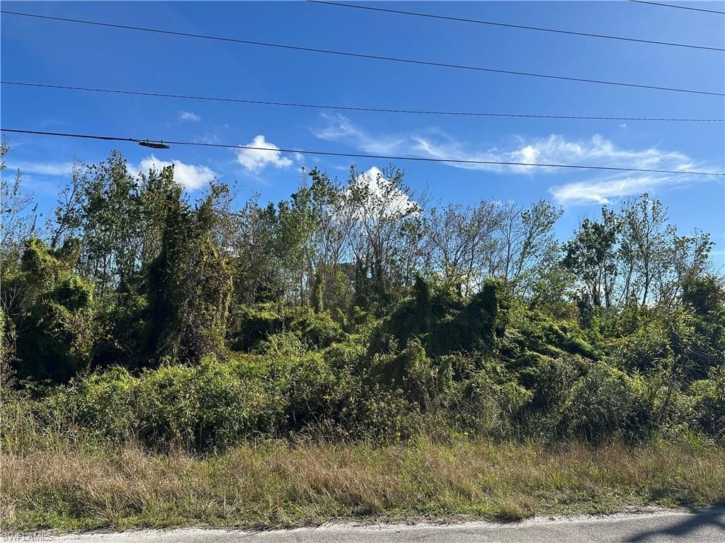 943 Joponica AVE S, LEHIGH ACRES, FL 33974 — exterior