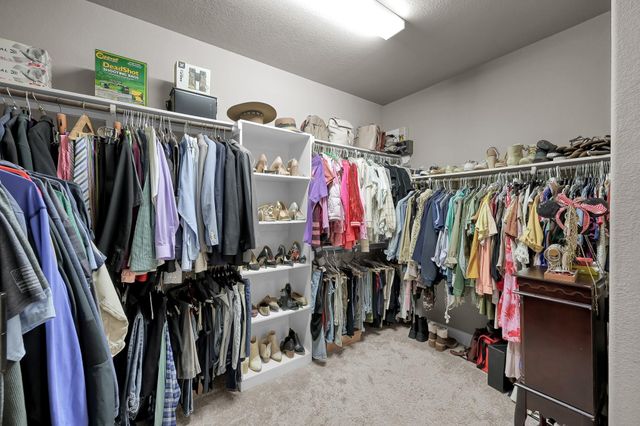 21926 Shamion Court, Spring, TX 77379