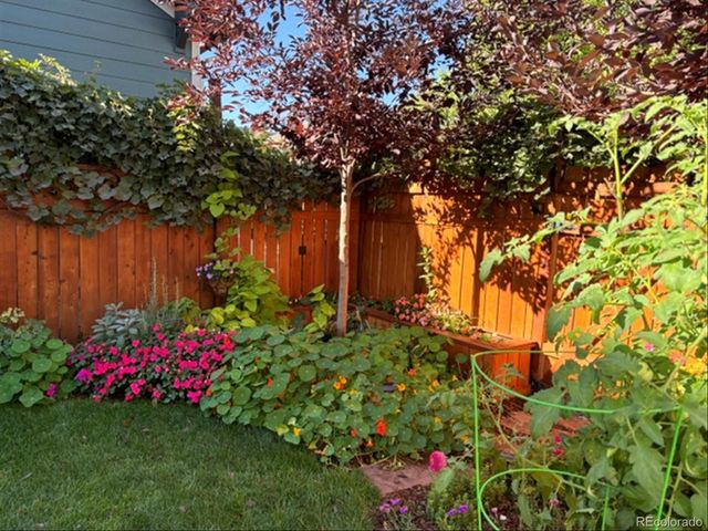 2783 Havana Street, Denver, CO 80238