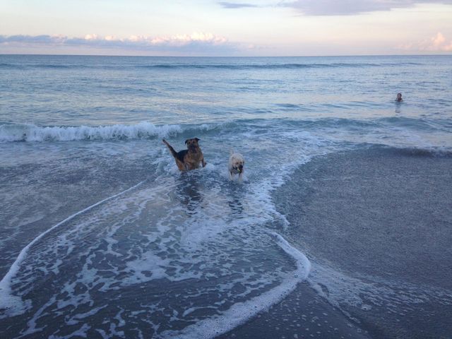 109 Half Moon Circle C, Jupiter, FL 33458