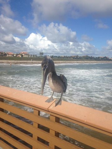 109 Half Moon Circle C, Jupiter, FL 33458