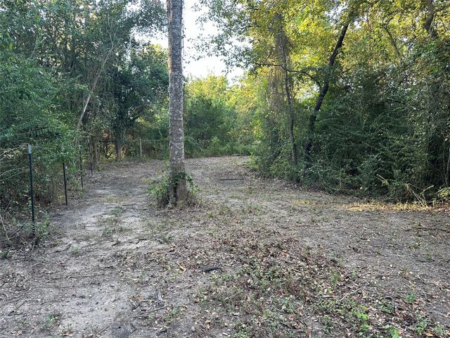 612 Worsham Street, Montgomery, TX 77316