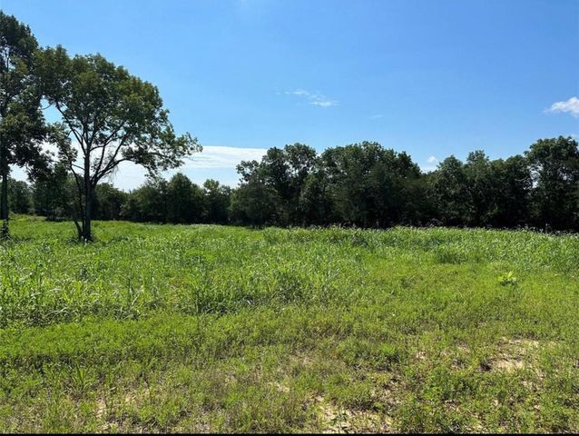 612 Worsham Street, Montgomery, TX 77316