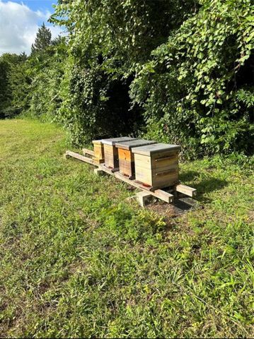 612 Worsham Street, Montgomery, TX 77316