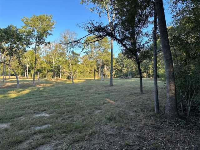 612 Worsham Street, Montgomery, TX 77316