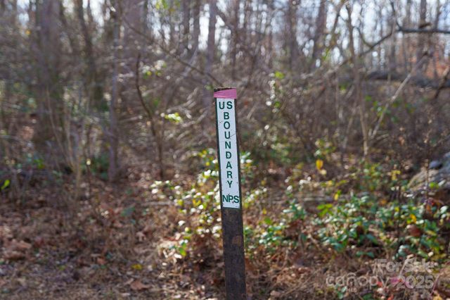 24 Lower Grassy Branch Road, Asheville, NC 28805