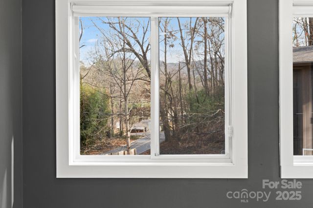 24 Lower Grassy Branch Road, Asheville, NC 28805