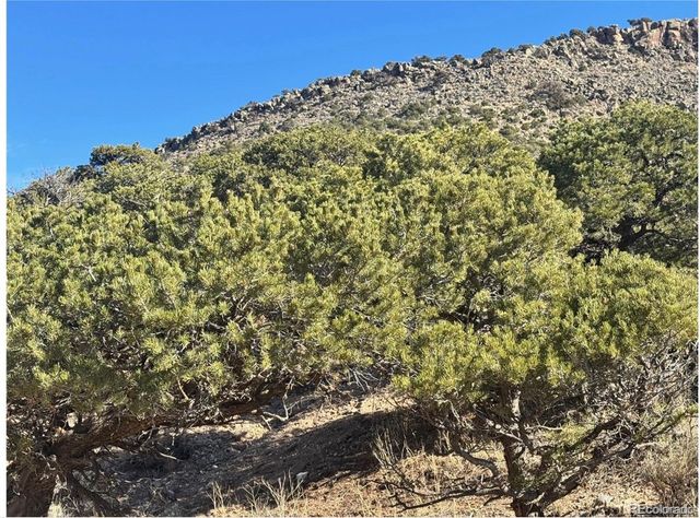 Lot 2446 Zuni Road, Fort Garland, CO 81133