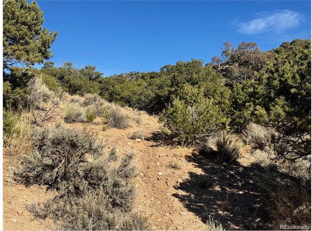 Lot 2446 Zuni Road, Fort Garland, CO 81133
